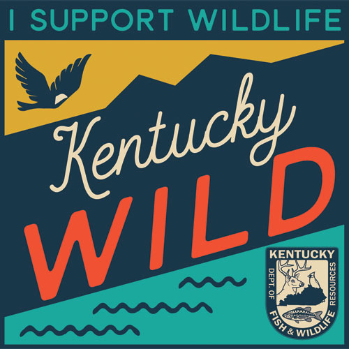 Kentucky Wild logo